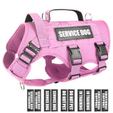 WINSEE service dog vest with MOLLE system enables modular gear for training.