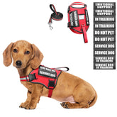 WINSEE small dog harness red front view shows secure fit and quick-release buckles.