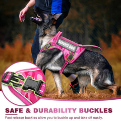 WINSEE tactical dog harness back clip view for relaxed walking.