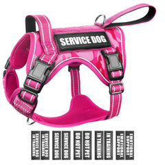 WINSEE tactical dog harness front clip view for no-pull control.