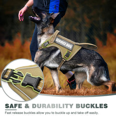 WINSEE Reflective Nylon harness increases visibility during early morning or evening strolls.