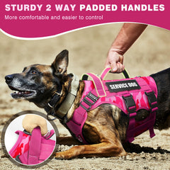 WINSEE three D-rings offer versatile leash attachments for walks and hikes