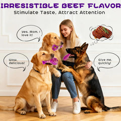 WinTour nylon toy close-up shows natural material and beef flavor for irresistible engagement.