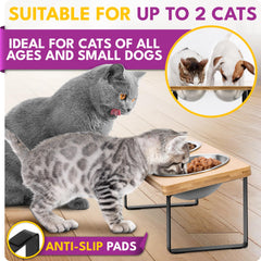 WinTruffles anti-slip pads keep bowls in place during mealtime.