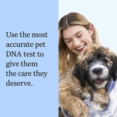 Wisdom Panel sample tube ready for secure submission revealing breed possibilities