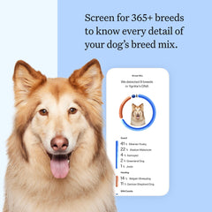 Wisdom Panel swab kit image highlights quick, painless sampling for breed insights