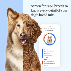 Wisdom Panel Essential DNA Kit swab procedure image demonstrating painless sample collection for fast results.