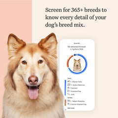 Wisdom Panel Premium Dog DNA Kit health-conditions screening guides proactive care