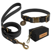 Wisedog collar and leash set—complete daily-walk kit for dogs.