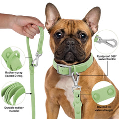 Correa Wisedog color verde salvia, estilo versátil para cualquier raza