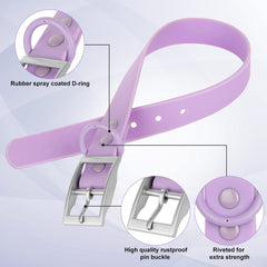 Wisedog odor-proof dog collar designed to stay fresher after outdoor play