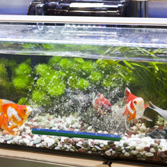 WishLotus aquarium bubble curtain provides calming visuals and improved aeration.