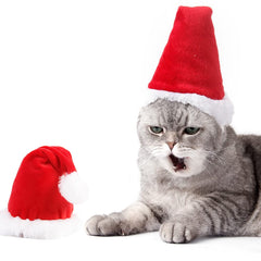 Wiz BBQT adjustable 3D Santa hat on a small dog shows festive style and comfortable fit.