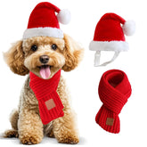 Wiz BBQT dog Christmas hat closeup shows soft plush fabric for cozy festive wear