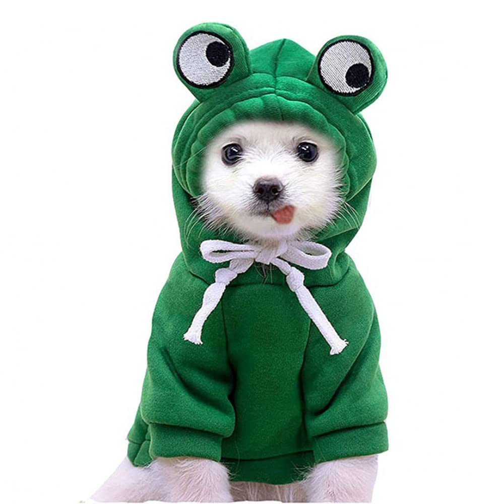 Wiz BBQT Green Frog Dog Costume – front view for festive dress-up