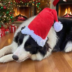 Wiz BBQT Santa hat semi-padded crown maintains festive stance