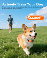 WLLNEE IPX7 waterproof receiver for weather-friendly training