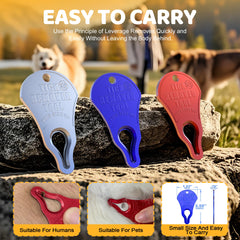 Wndine Tick Remover Tool 3 Pack, on-keychain ready for emergencies