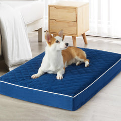 WNPETHOME orthopedic XL dog bed with velvet surface for cozy warmth.