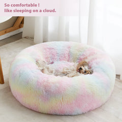 WNPETHOME Calming Donut Bed Rainbow side view highlights secure edge support