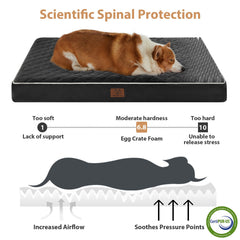 WNPETHOME detachable washable cover on the XL bed for easy cleaning.
