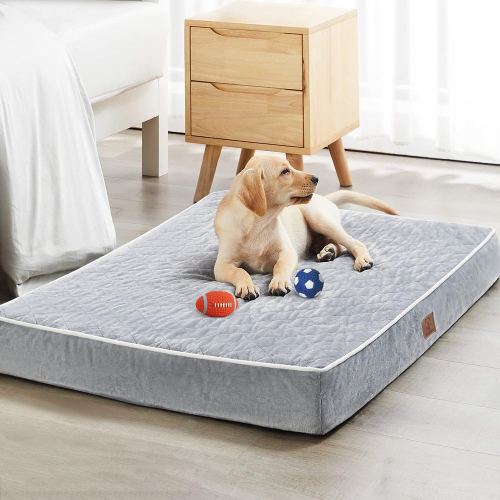 WNPETHOME orthopedic XL dog bed velvet surface provides cozy warmth during night rest