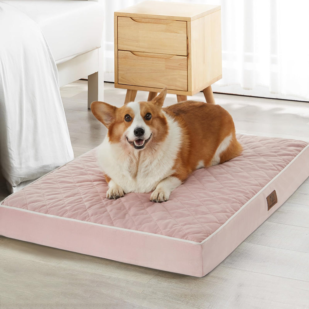 WNPETHOME orthopedic XXL dog bed top view highlights plush velvet comfort for relaxed lounging