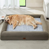 WNPETHOME XL dog bed with soft velvet cover for cozy lounging and skin-friendly comfort.