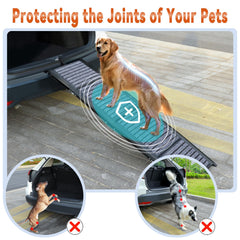 Wn's Day anti-slip carpet texture ensures stable paw grip on ramp