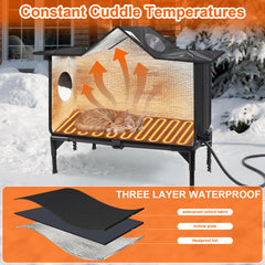 Wn's Day heating-pad inside highlights cozy warmth for stranded cats.