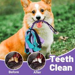 Wodoca Dog Toy Teeth Cleaning Purple close-up; promotes gum massage and dental care.
