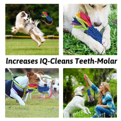 Wodoca dog tug toy in training scenario showcases recall and focus