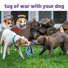 Wodoca Tug Toy Durable Stretch Nylon Purple side view; strong elastic grip for tug-of-war.