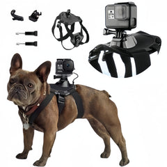 Wogerplu dog harness chest mount for GoPro captures front-view play shots