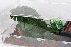 WOLEDOE reptile plants in terrarium demonstrating easy maintenance and habitat enhancement.