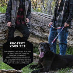 Wolfgang harness close-up of welded steel D-ring highlighting secure leash attachment