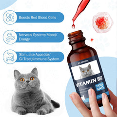 WOMRICH Cat Brain-Nerve Health B12 supports mental clarity.