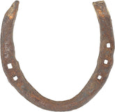 Wonder Care authentic horseshoe closeup highlighting rustic texture and luck symbolism