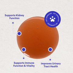 Wonder Paws astragalus-d-mannose nettle-root formula image suggests immune-friendly bladder support.