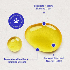 Wonder Paws Salmon oil ingredient highlight in fish oil for dogs