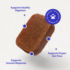 Wonder Paws Probiotics digestion-support chews beside a relaxed dog.