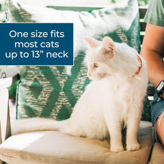 Wondercide cat collar is water resistant and peppermint-scented