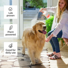 Wondercide peppermint spray-application guide shows safe pet use and quick drying.