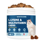WONTECHMI L-Lysine cat bottle tuna — savory chews that support daily immune health.