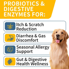 WONTECHMI Probiotics chicken-flavor chews promote easy feeding and gut balance.