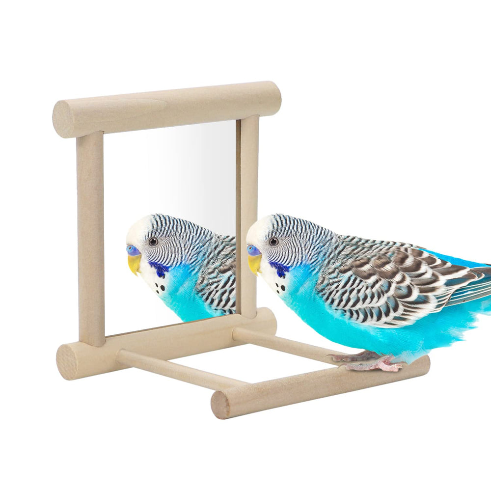Wontee bird mirror with perch left view encourages curiosity and playtime