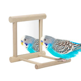 Wontee bird mirror with perch left view encourages curiosity and playtime