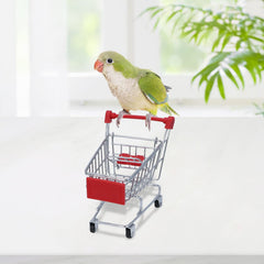 Wontee Bird Toys training guide visual showing teaching steps for birds
