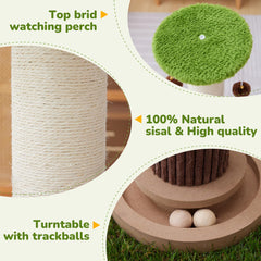 Woochpet cat ball track toy inviting chase and engagement for indoor cats