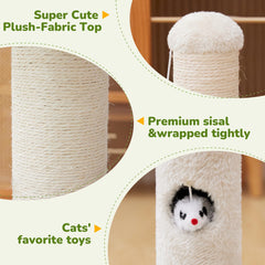 Woochpet kitten-friendly scratching post designed for growing cats.